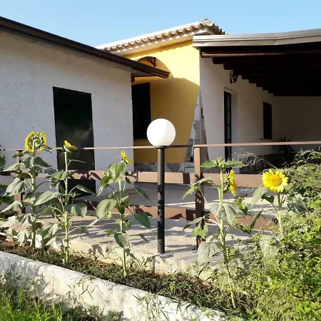 Sunflower * Avola